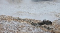 Debit air yang jatuh dari air terjun Iguazu meningkat siginifikan dalam beberapa hari terakhir setelah hujan deras di wilayah tersebut.  