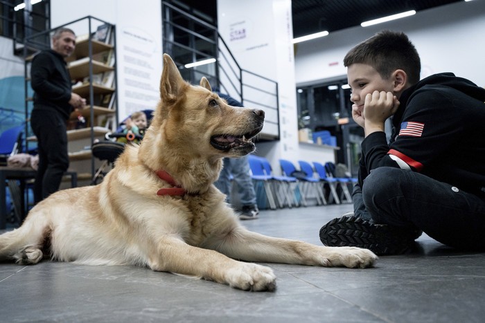 A dog Nike looks an a boy during canine therapy sessions in Kyiv, Ukraine, Thursday, Oct. 26, 2023. Once a week Ukrainian parents bring their children affected by the Russian Ukrainian war to a community center in the capital Kyiv where they can overcome their traumas with the help of two dogs Chelsea and Nike. (AP Photo/Roman Hrytsyna)