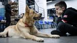 Anak-anak Ukraina Bermain Bersama Anjing untuk Atasi Trauma Perang