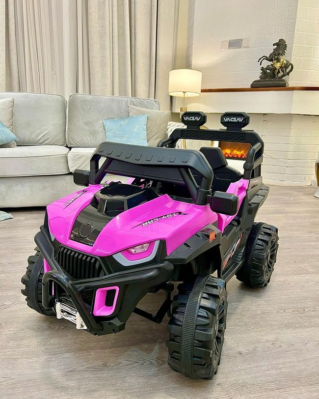 Sukses mengelola bisnisnya, ibu dua anak itu pun tidak ragu untuk memanjakan buah hatinya dengan kenyamanan. Vera diketahui suka membelikan barang-barang mahal untuk Asia, termasuk furnitur mewah untuk kamarnya, mobil mini, tas Louis Vuitton dan Chanel hingga perhiasan berlian. Foto: Instagram