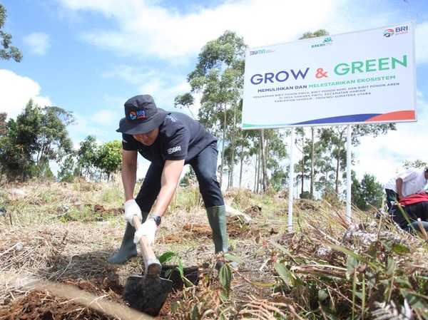 Jaga Kelestarian Danau Toba, BRI Tanam 2.500 Bibit Pohon di Samosir