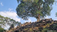 Batuan di Gunung Padang tersusun dari sekitar ratusan batuan kekar kolom (coloumnar joint).   