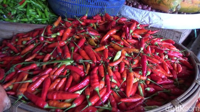 Harga cabai rawit di pasar baru Lumajang