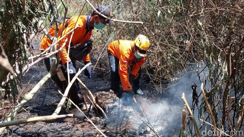 Kebakaran hutan dan lahan Gunung Merbabu telah padam.