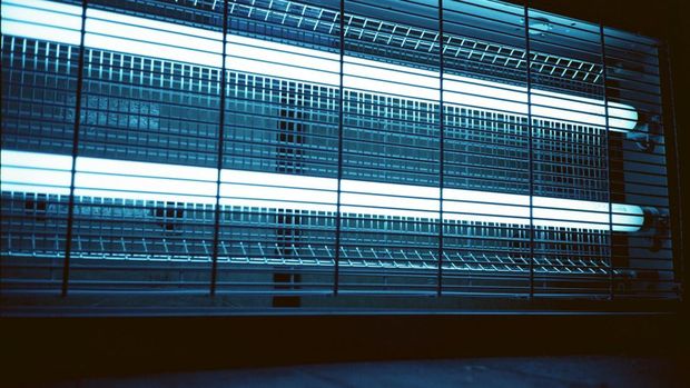 lampu neon/Darya Sannikova via Pexel