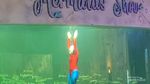 Punya Belasan Ribu Hewan, Melihat Dunia Ikan Lebih Dekat di Sini