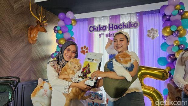 Meriahnya pesta ulang tahun Chiko kucing di Kediri