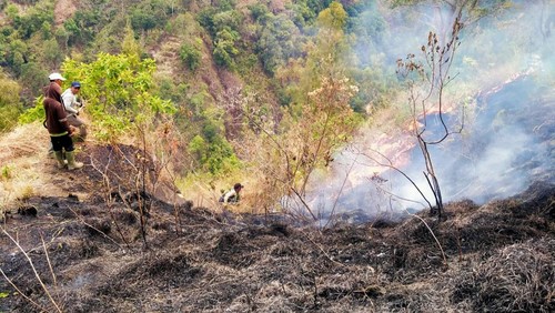 Pemadaman kebakaran hutan lindung Gunung Abang, Desa Ban, Kecamatan Kubu, Kabupaten Karangasem beberapa hari yang lalu. (dok. BPBD Karangasem)