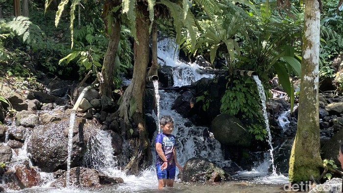 Pemandian Tukad Arca di Karangasem, Bali