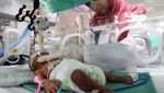 Pilu Nyawa Bayi Prematur di Gaza Terancam Gegara Israel Blokade Listrik