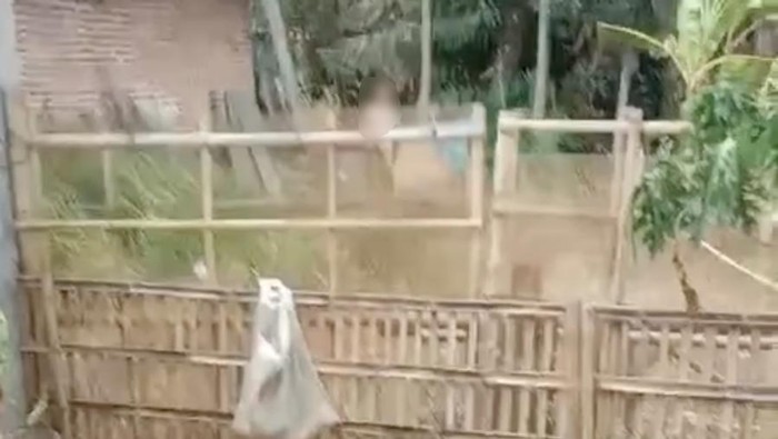 Polsek Cisoka mengusut kejadian seorang wanita yang melempar kotoran dan batu ke rumah tetangganya. Polisi menjelaskan pelaku pelemparan mengalami gangguan kejiwaan. (Tangkapan layar video viral)