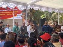 Jokowi Janji Penyaluran Beras Cadangan Pemerintah Berlanjut hingga Maret 2024