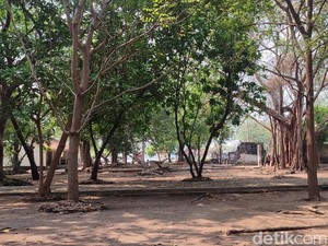 Pandemi Sudah Berlalu, tapi Wisata Kepulauan Seribu Masih Abu-abu