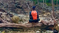 Hutan mati di Kawah Ratu.