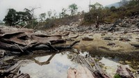 Sepanjang hutan mati di Kawah Ratu.
