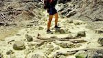 Fakta! Trekking Kawah Ratu Sangat Bersahabat untuk Pemula