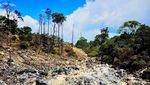 Fakta! Trekking Kawah Ratu Sangat Bersahabat untuk Pemula