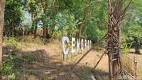 Namun, umur spot Cemoro 7 tidaklah lama. Pengelolaan dan transparansi pemasukan yang buruk membuat anggota pengurusnya menghilang satu per satu hingga terbengkalai.