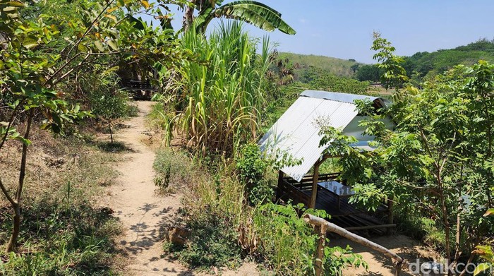 Waduk Greneng
