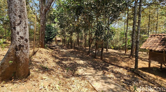 Agrowisata Nglawungan Blora