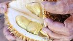 Potret Kampung Durian yang Unik di Blora, Kecil tapi Nendang