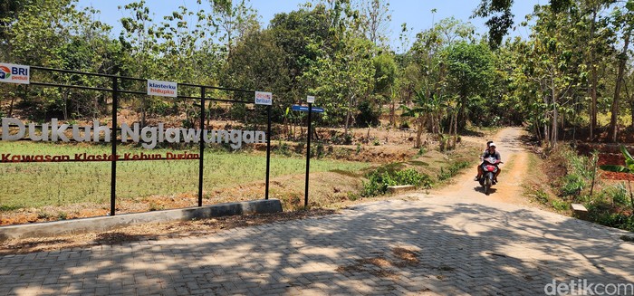 Agrowisata Nglawungan Blora