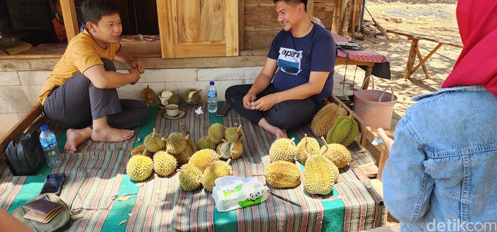 Agrowisata Nglawungan Blora