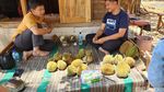 Potret Kampung Durian yang Unik di Blora, Kecil tapi Nendang