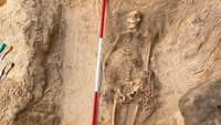 Kerangka seorang wanita muda yang dikuburkan dengan gembok di kakinya dan sabit besi di lehernya sebagai cara untuk mencegahnya bangkit dari kematian, terlihat di Pien, Polandia. Nicolas Copernicus University Institute of Archaeology/REUTERS  
