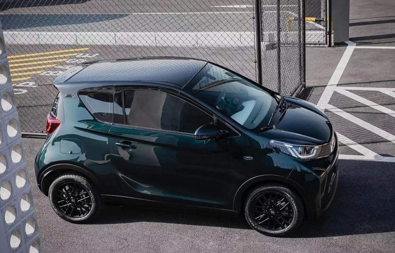 Chery Little Ant