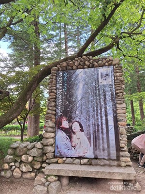 Ternyata Indah Sekali Nami Island, Lokasi Syuting Winter Sonata