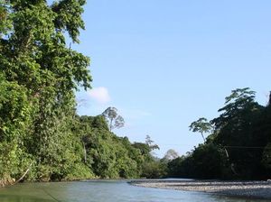 Taman Nasional Gunung Leuser, Rumah Flora dan Fauna Langka