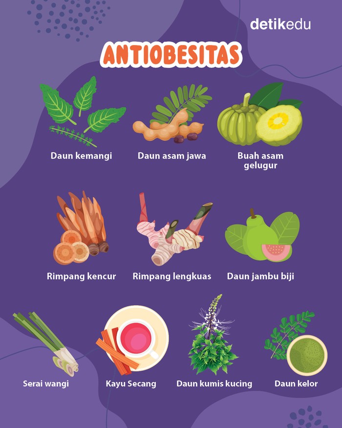 Herbal antidiabetes-antiobesitas hasil riset profesor IPB