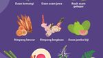 Infografis: Herbal Antiobesitas-Antidiabetes Hasil Riset Profesor IPB
