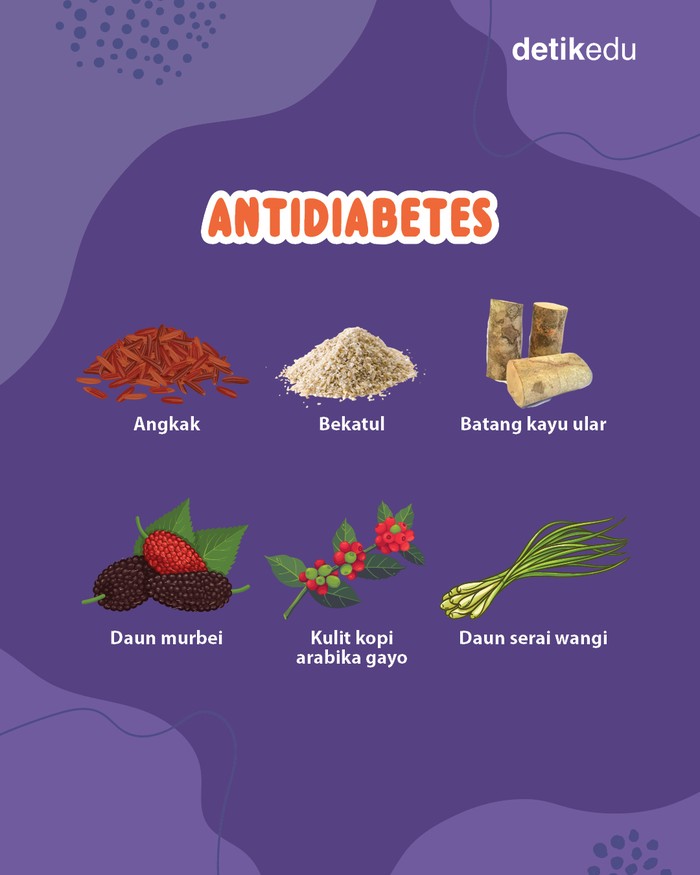Herbal antidiabetes-antiobesitas hasil riset profesor IPB