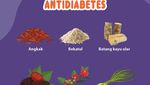 Infografis: Herbal Antiobesitas-Antidiabetes Hasil Riset Profesor IPB