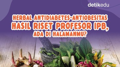 Infografis: Herbal Antiobesitas-Antidiabetes Hasil Riset Profesor IPB