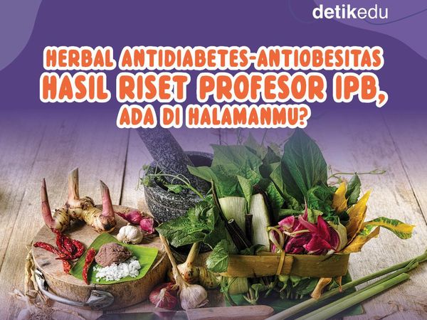 Infografis: Herbal Antiobesitas-Antidiabetes Hasil Riset Profesor IPB