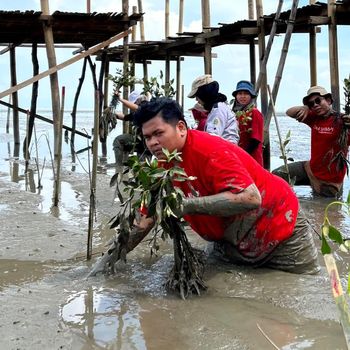 Kegiatan taman bibit pohon mangrove di Deli Serdang beberapa waktu lalu. (Dok. Kejar Mimpi Medan)