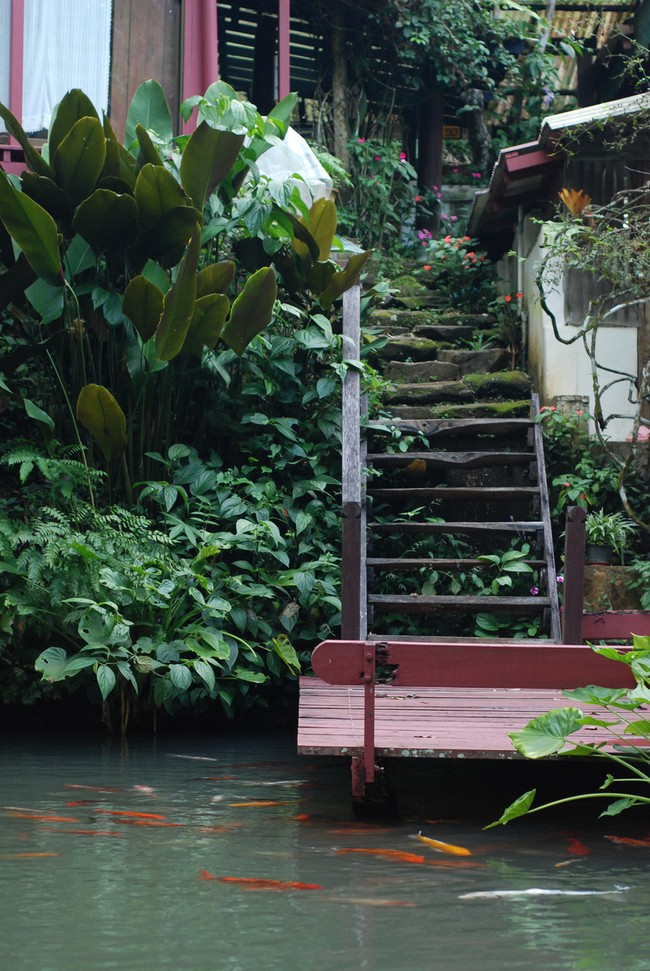 6 Ide Desain Kolam Ikan Cantik, Mulai dari Relief Batu Alam hingga Air Terjun