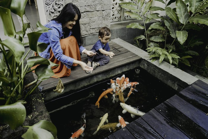 kolam ikan minimalis persegi.