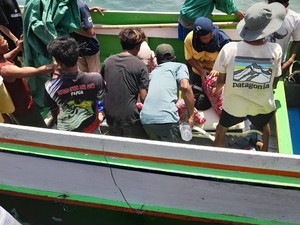 Kaki Dicabik-cabik Komodo, Kamarudin Dapat Santunan Uang