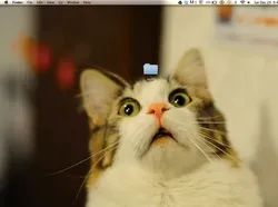 Kreatif! Tampilan Wallpaper Desktop Keren Bikin Geleng-geleng