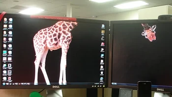 Kalau pake dua monitor bisa mengikuti cara ini. Foto: Brightside