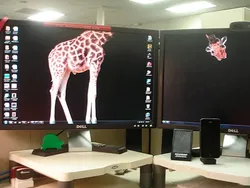 Kreatif! Tampilan Wallpaper Desktop Keren Bikin Geleng-geleng