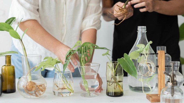 Penelitian di Laboratorium Biologi.
