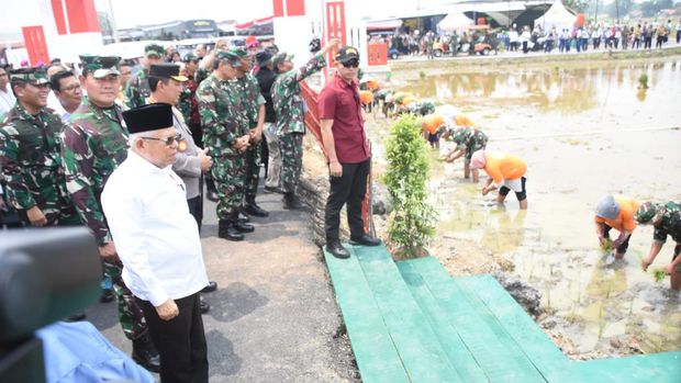 Panglima TNI Laksamana Yudo Margono menggelar Gerakan Nasional Ketahanan Pangan yang berlangsung di 385 titik di seluruh wilayah Indonesia. (dok Pendam Jaya)