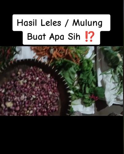Pasutri Ini Hobi Mulung Sampah Sayuran di Pasar untuk Dimasak