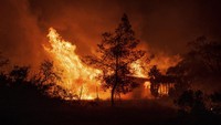Sebuah bangunan dilalap api saat kebakaran hutan yang disebut Kebakaran Dataran Tinggi terjadi di Aguanga, California, Senin, 30 Oktober 2023.   