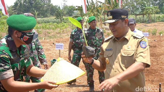 Pj Gubernur Sulsel Bahtiar Baharuddin saat acara tanam pisang di Gowa.
